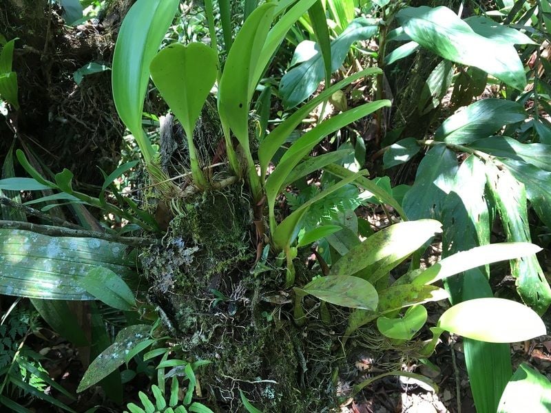 Water, an essential nutrient Water, an essential nutrient